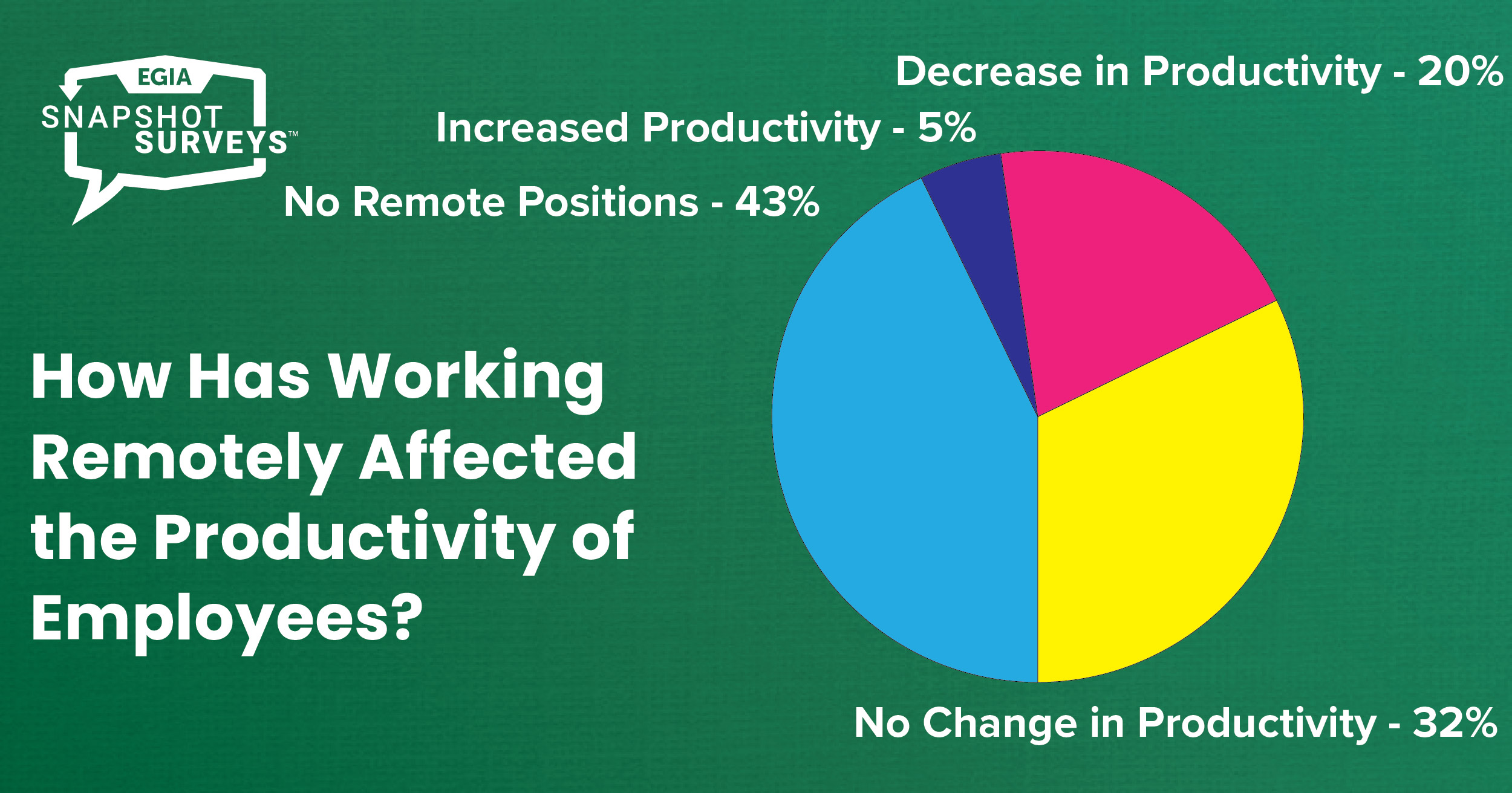 EGIA Snapshot Survey - Remote Work